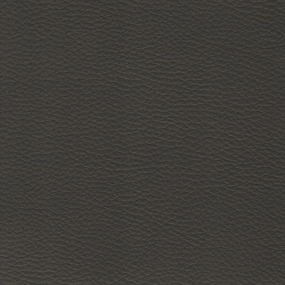 Thumbnail 31